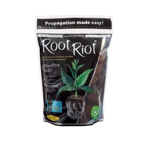 Root Riot Plug Cubes (50 Pack)